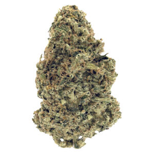 Fuel & Flower Cannabis