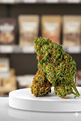 Fuel & Flower Cannabis
