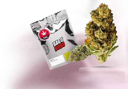 Fuel & Flower Cannabis