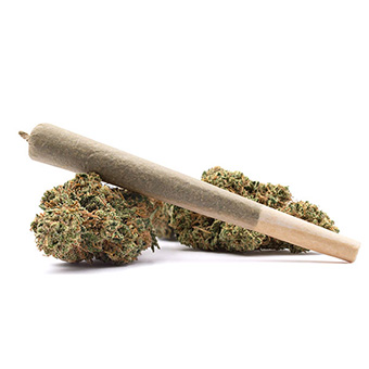 Fuel & Flower Cannabis