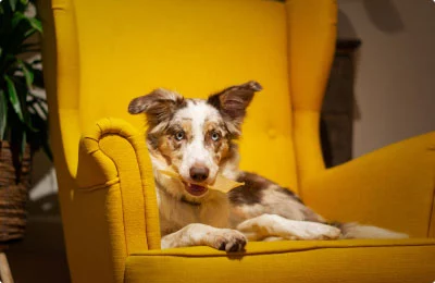 Fuel & Flower Cannabis