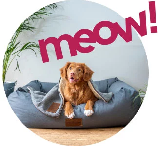 Fuel & Flower Cannabis