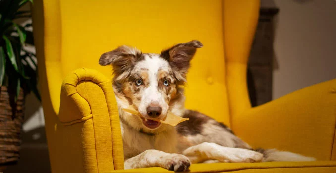 Fuel & Flower Cannabis