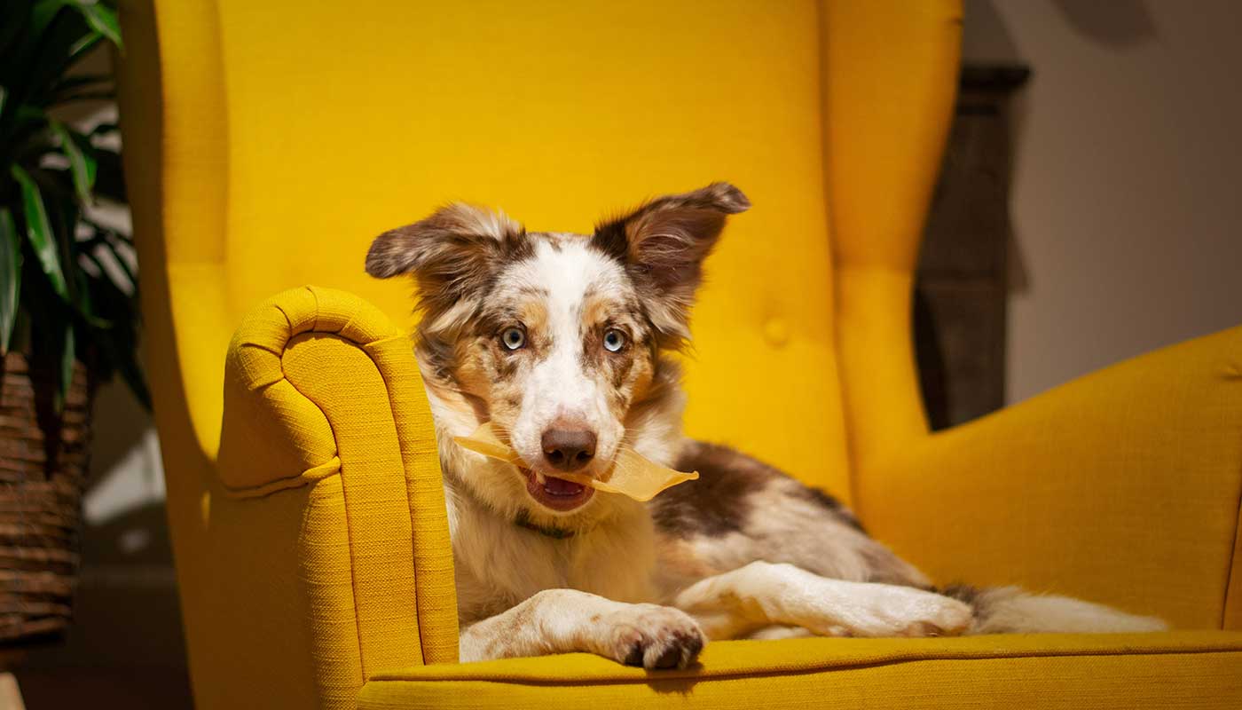 Fuel & Flower Cannabis