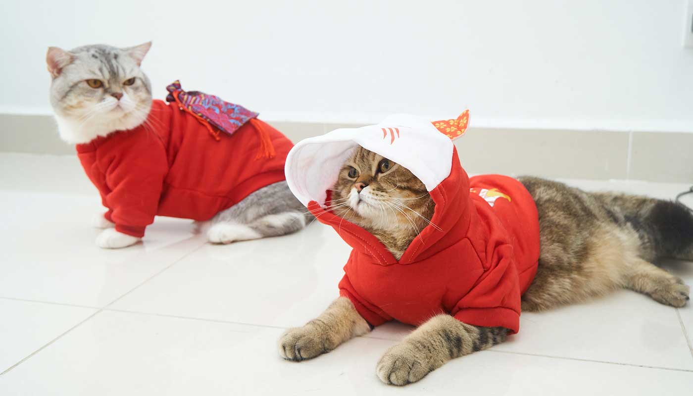 Fuel & Flower Cannabis