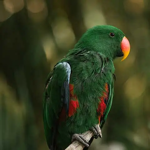 Fuel & Flower Cannabis