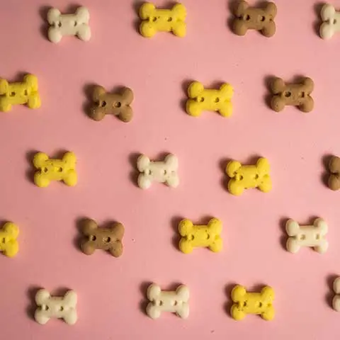 Fuel & Flower Cannabis