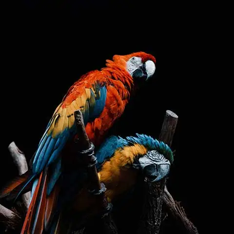 Fuel & Flower Cannabis